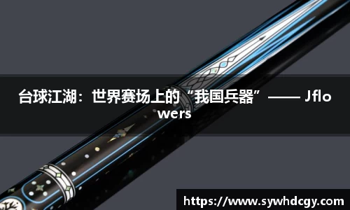 台球江湖：世界赛场上的“我国兵器”—— Jflowers